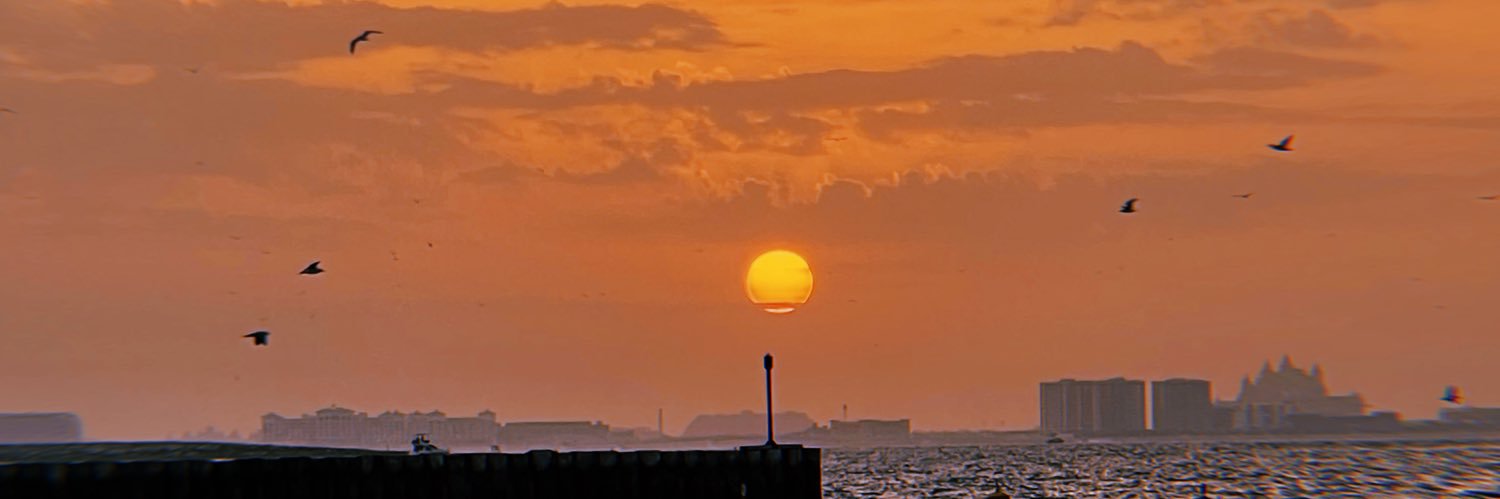 ‼️⬇️DONATE TO PINNED⬇️‼️ banner