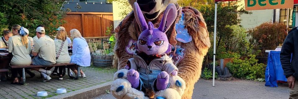 Wonder Stellabyte banner