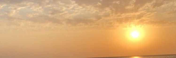 ali_zaj's profile banner image