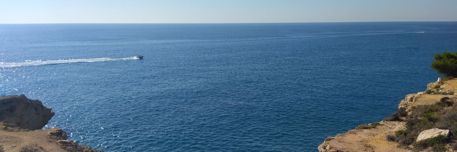 mireiapuche's profile banner image