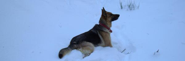 FcoJLucasS Profile Banner