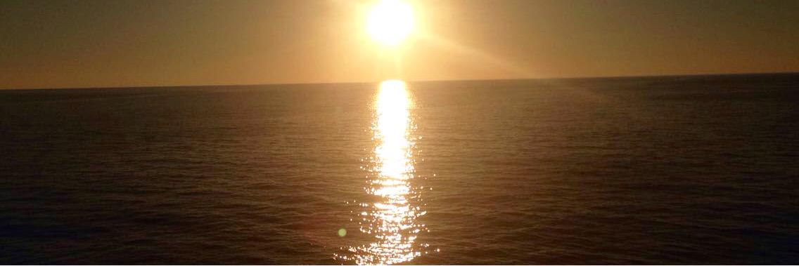 badfish_ways910's profile banner image