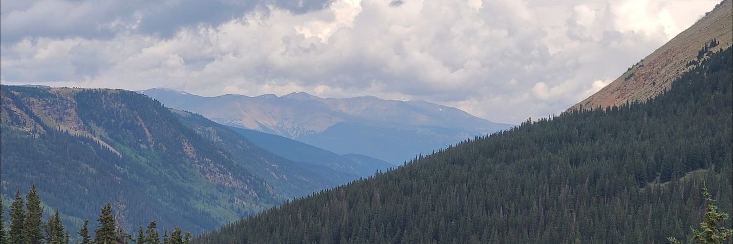 Walshd14's profile banner image