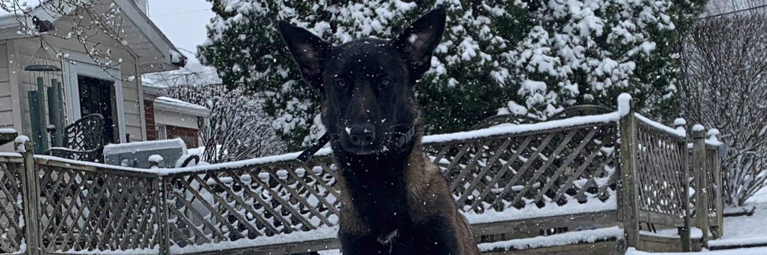 C_Ryan8's profile banner image
