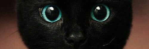 monijuiz's profile banner image
