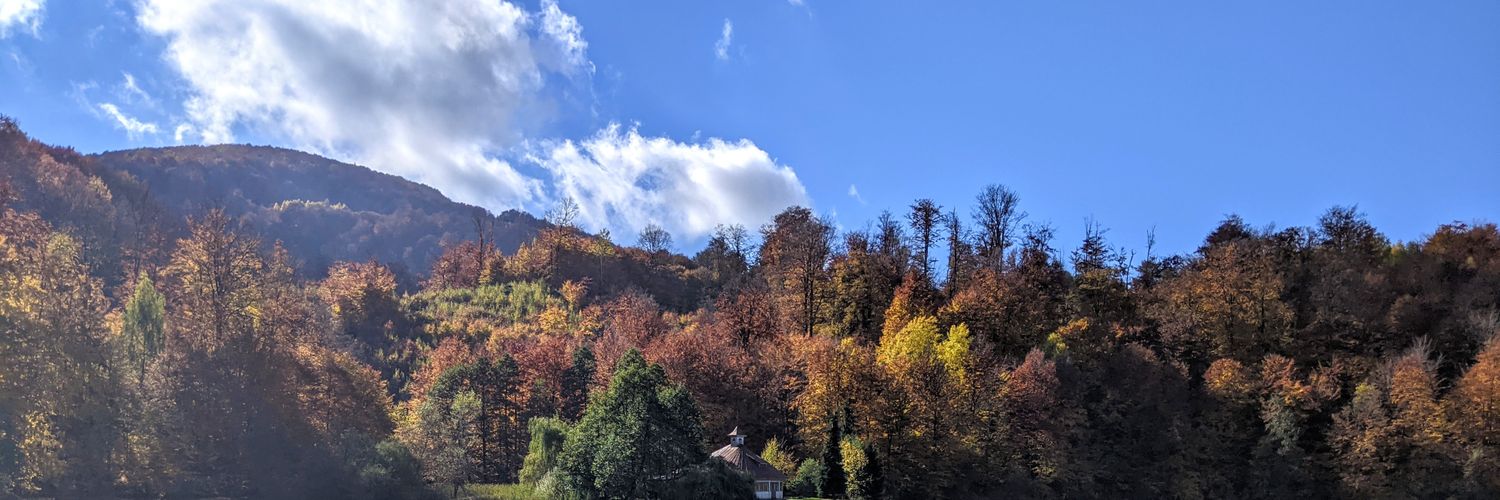 Ellen Mitchell banner