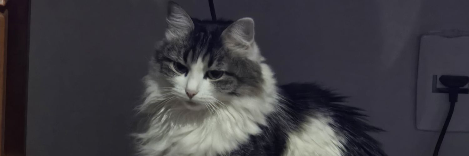ikalisi's profile banner image