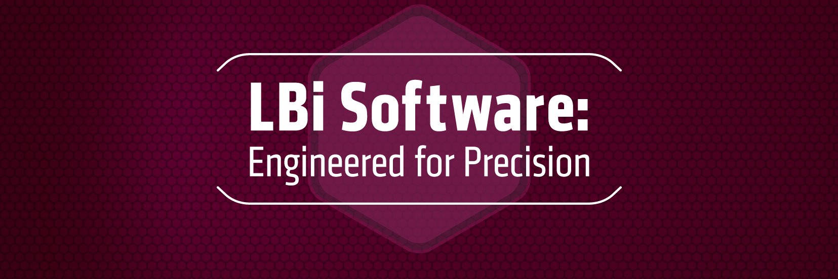 LBi Software banner