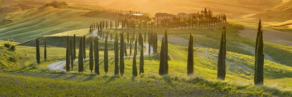 winerist_ Profile Banner