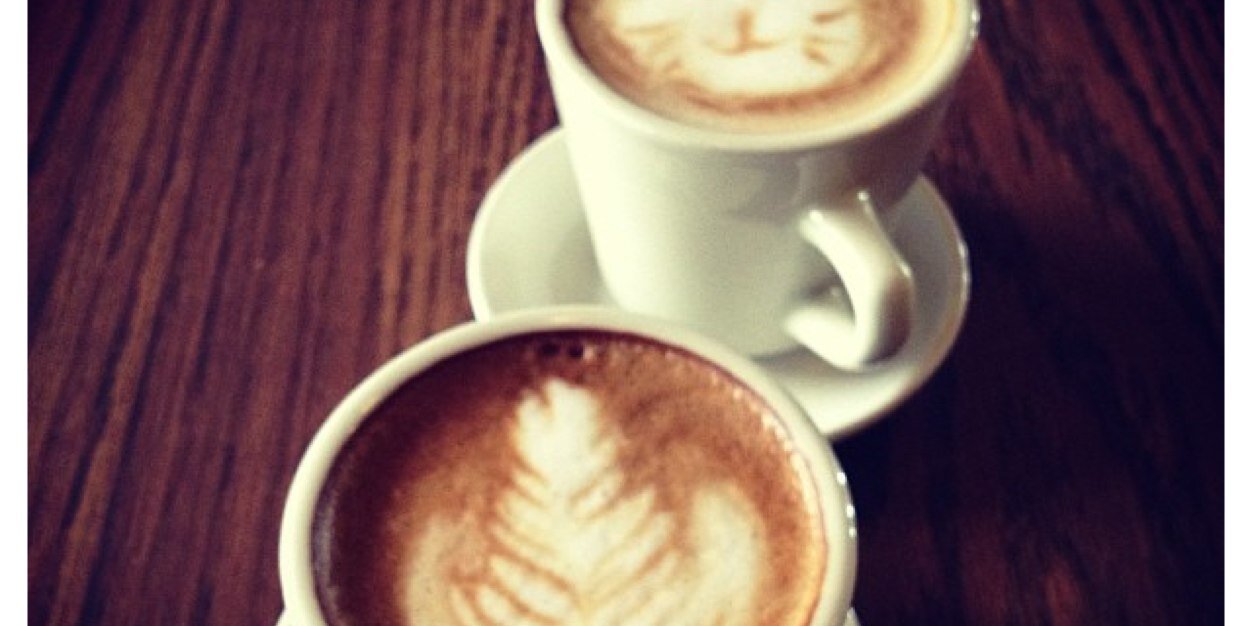 TierraCoffee's profile banner image