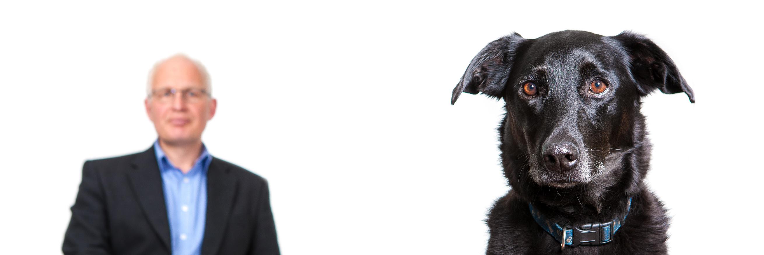 Chris Lorimer banner