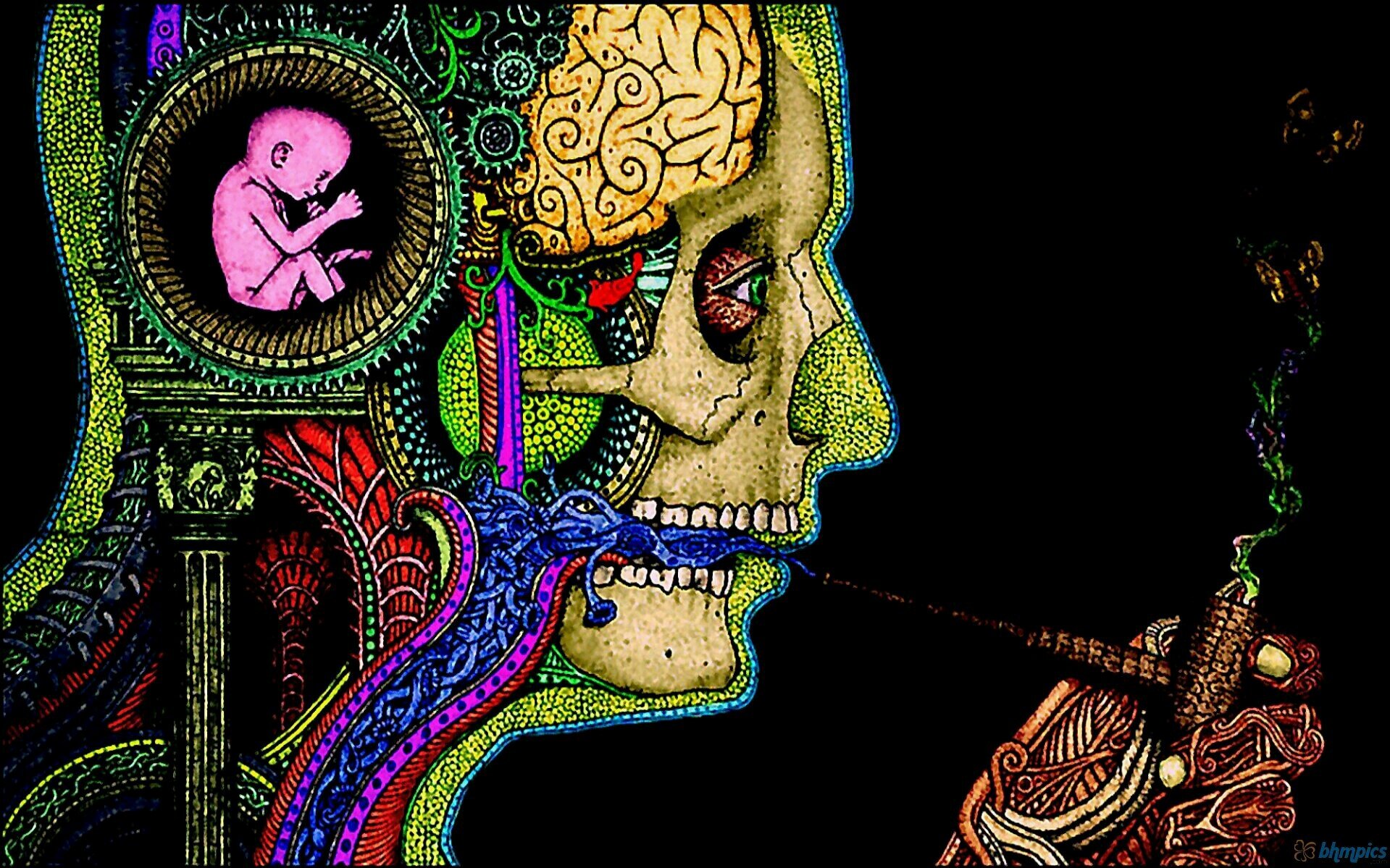 JakeAndBaked_'s profile banner image