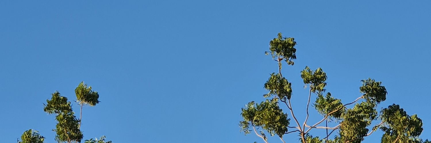 Jugaleezy's profile banner image