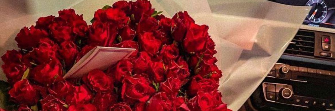CarollSteph_'s profile banner image