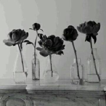 sometimes_here_'s profile banner image