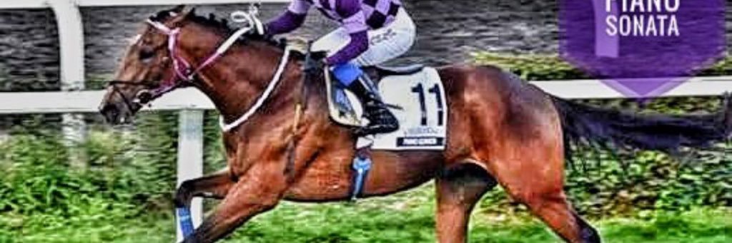 meridyenfair's profile banner image