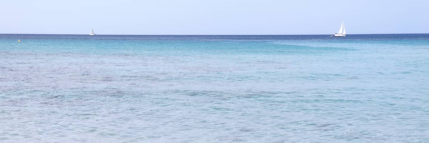 Aida_Rueda's profile banner image