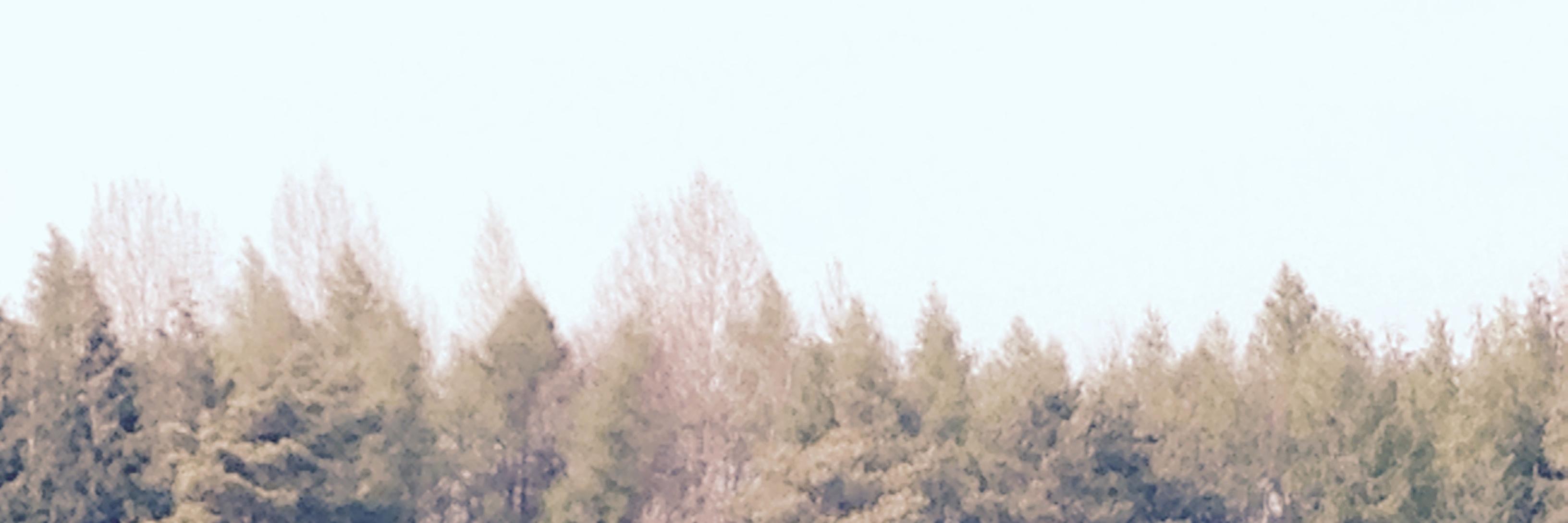 Alexpeterpowell's profile banner image