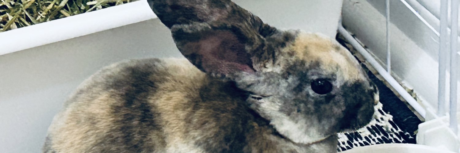 QUEENB_SR's profile banner image