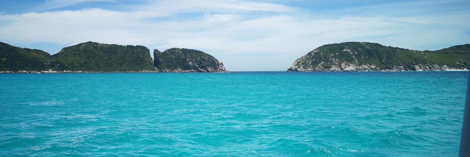 Felix Sosa banner
