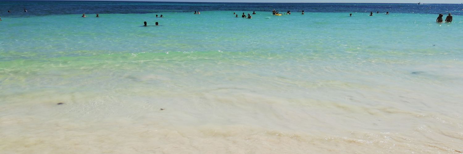 ConsuCampillo's profile banner image