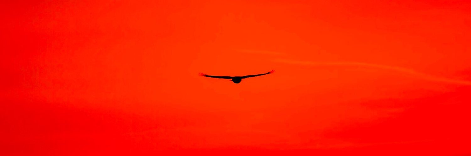 𝙍𝙪𝙠𝙤𝙡 banner