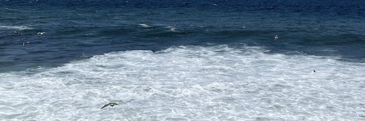 Marta Gillilan banner