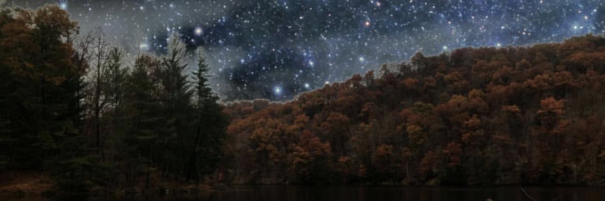 MaryKroldart's profile banner image