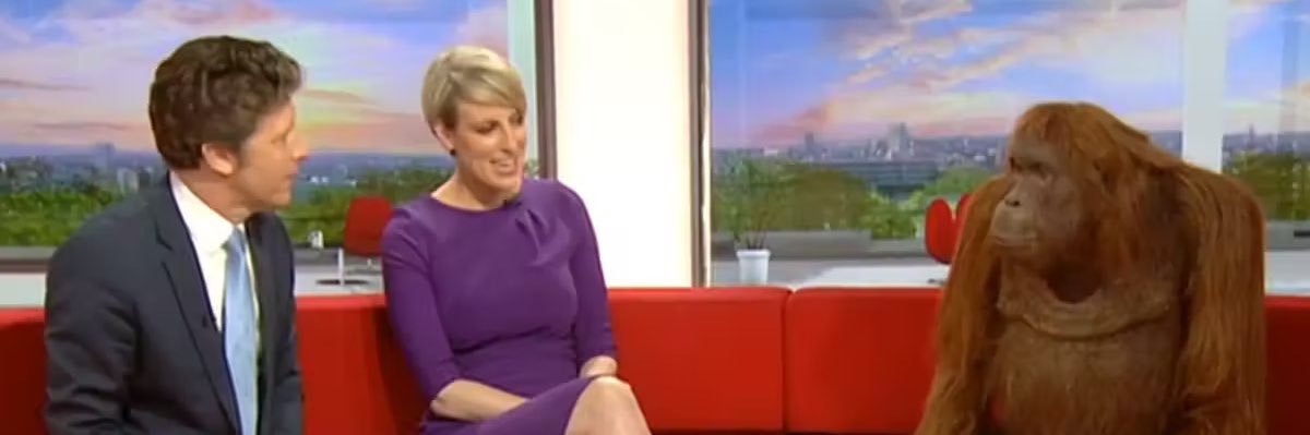 Arthur Traldi ✦ banner