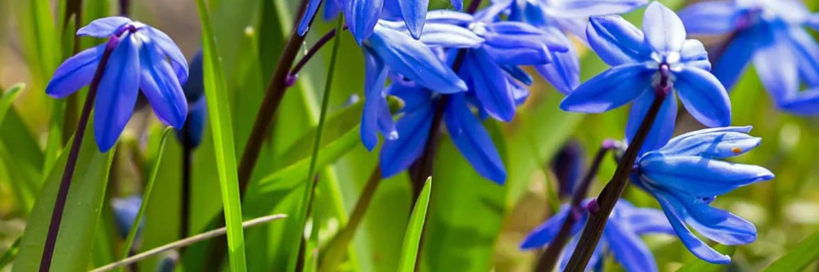 j_rietberg's profile banner image