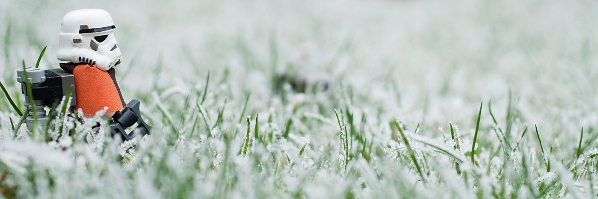 mirar_culos's profile banner image