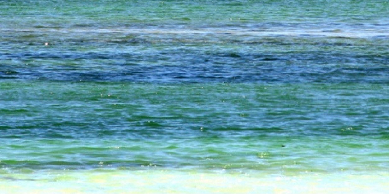 gauharah's profile banner image