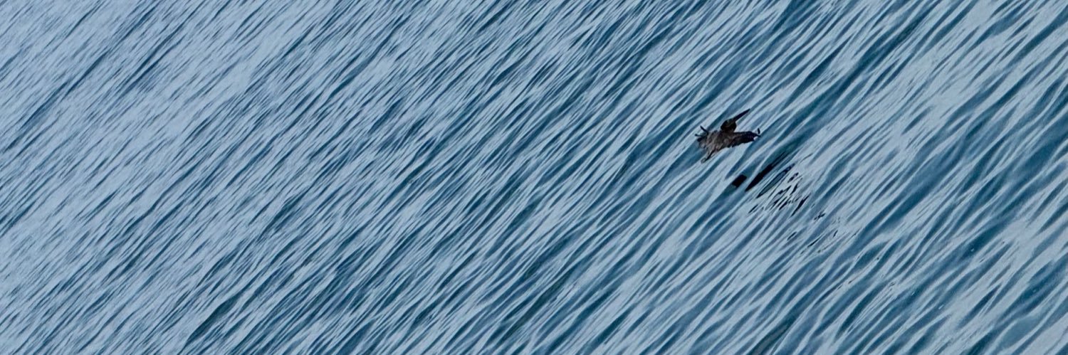 ale_vime's profile banner image