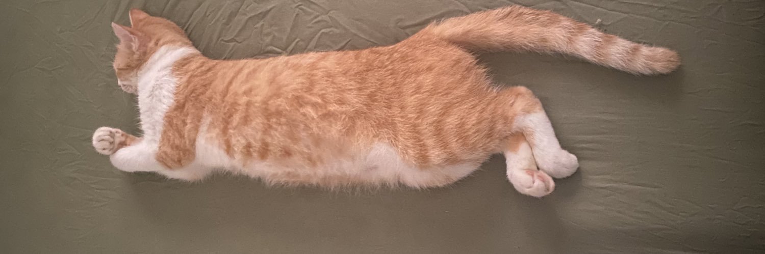 HbkBro_'s profile banner image
