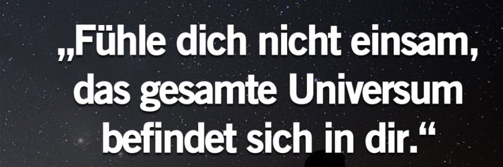 bilgeberlin's profile banner image