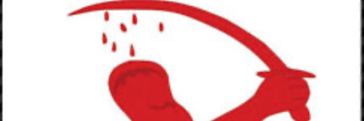 Poe Poe banner