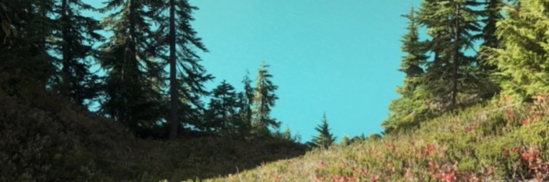 frankiefus's profile banner image