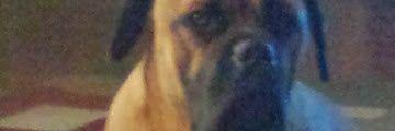 LoveJoy717's profile banner image