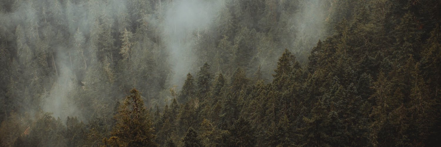 bennett_young's profile banner image