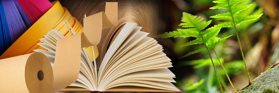 nwppa's profile banner image