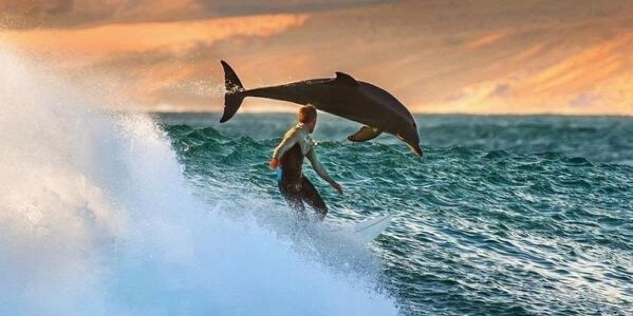 Surferito87's profile banner image