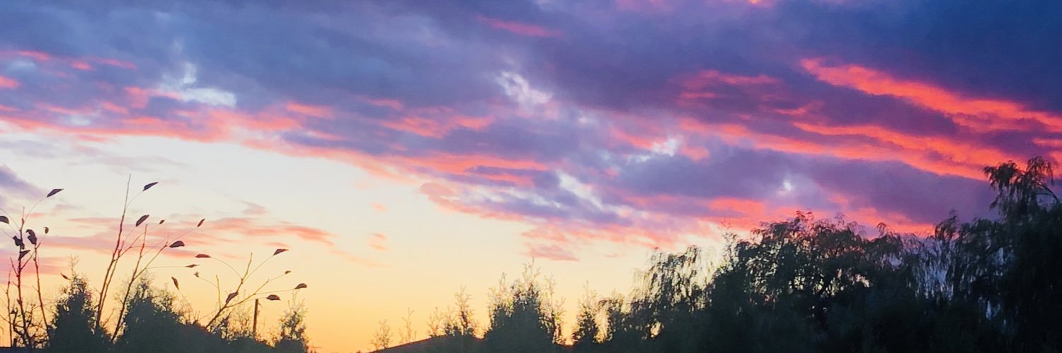 BeeDeePearson's profile banner image