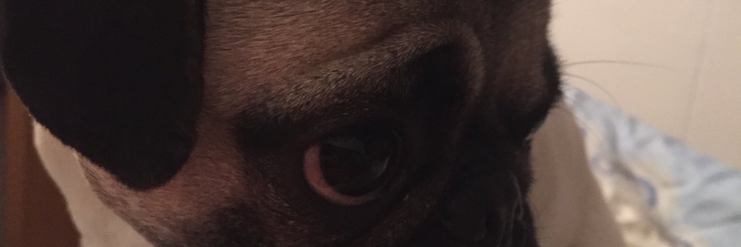 FernaClavijo's profile banner image