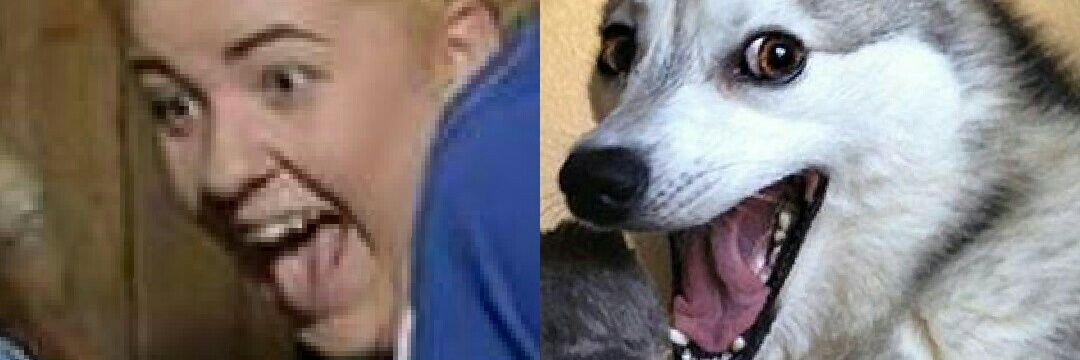 GollyManning's profile banner image