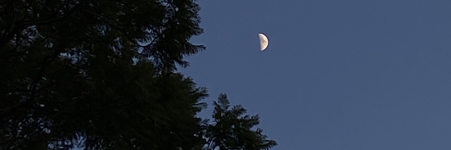 fatibrfer's profile banner image