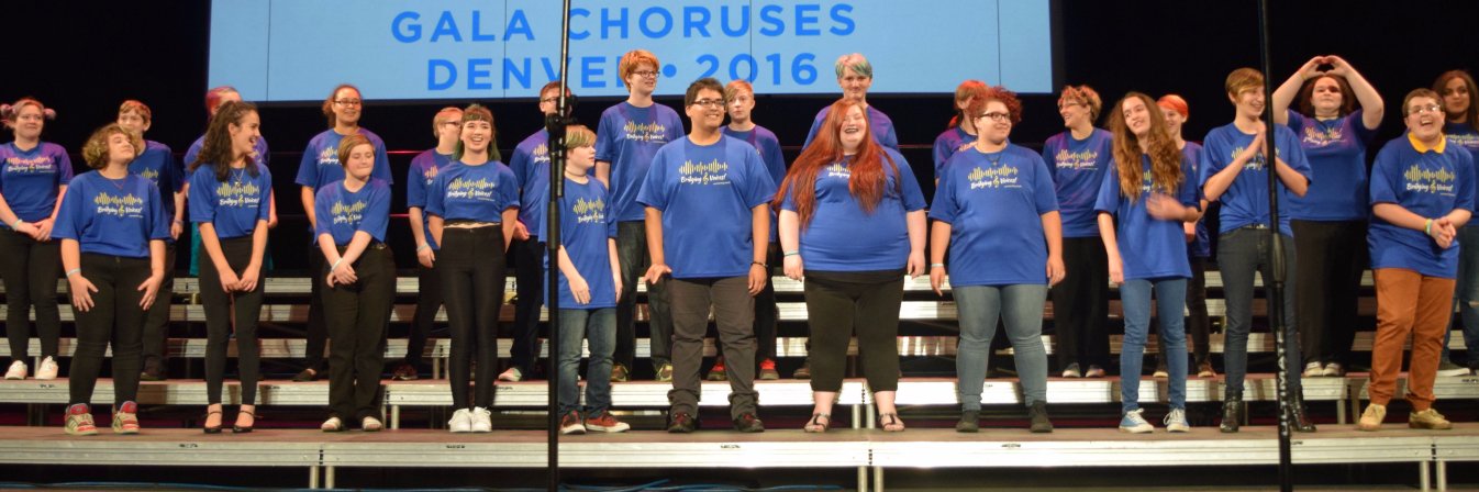 BridgingVoicesQ's profile banner image