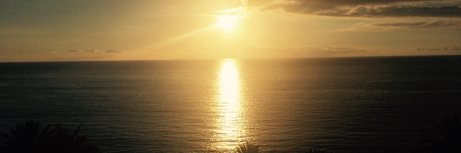 sallymuckell's profile banner image