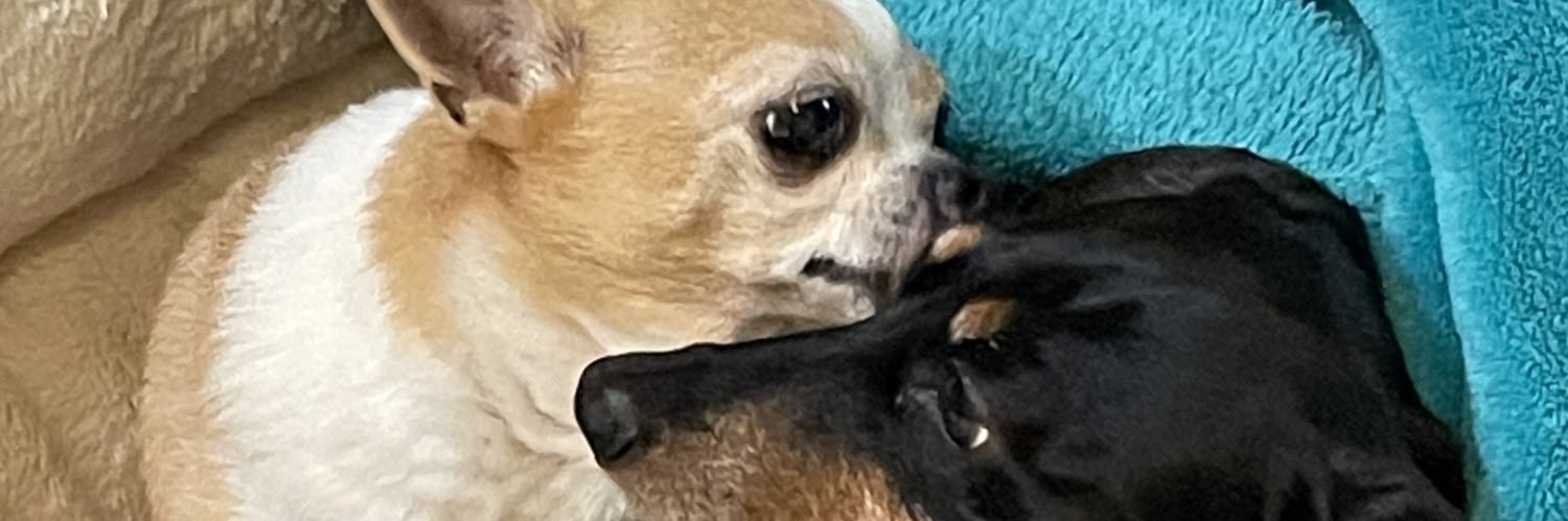 JeffreyChrist54's profile banner image