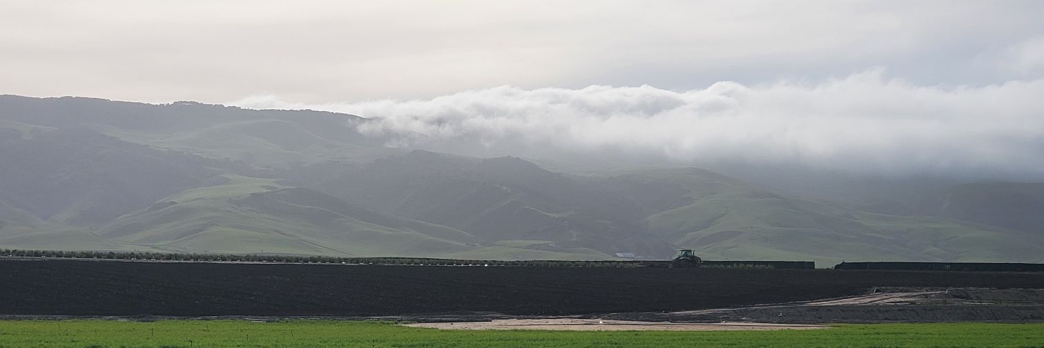 AlnCalifornia's profile banner image