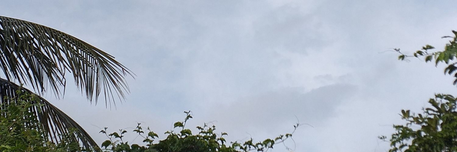 zilkenx's profile banner image